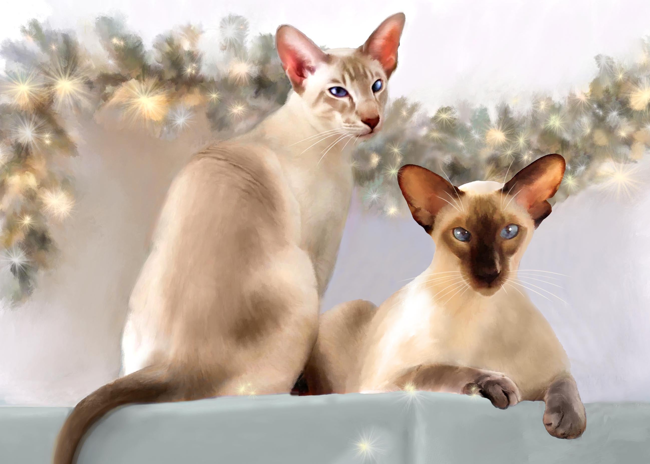 Anticipation Christmas Card