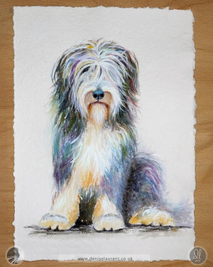 Bearded collie watercolour painting, a colourful and fluffy dog with a mix of blues, purples, and golden hues,painted  on handmade paper.
