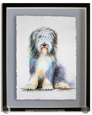 Bearded collie watercolour painting displayed in a floater frame.