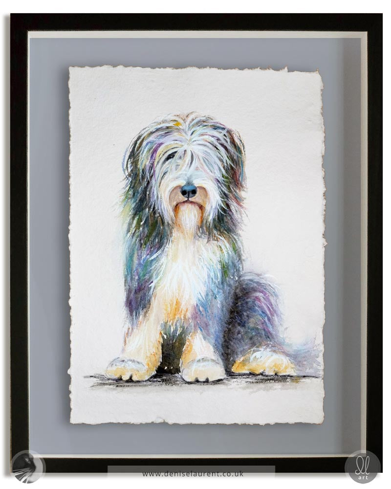 Bearded collie watercolour painting displayed in a floater frame.