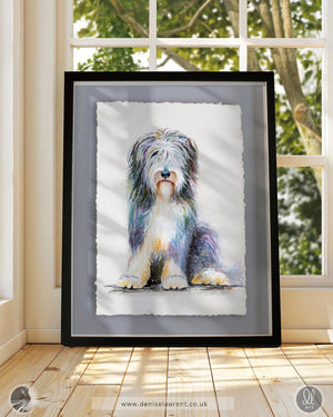 Framed bearded collie watercolour art displayed in a sunny room, featuring a vibrant and fluffy dog portrait.