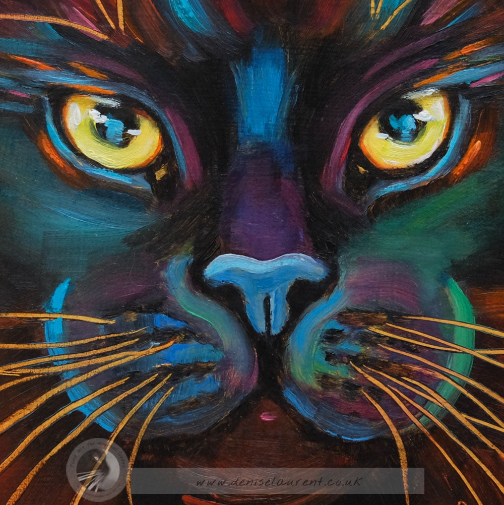Blackie - Sold