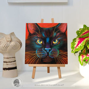 Blackie - Sold