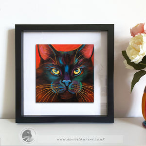 Blackie - Sold