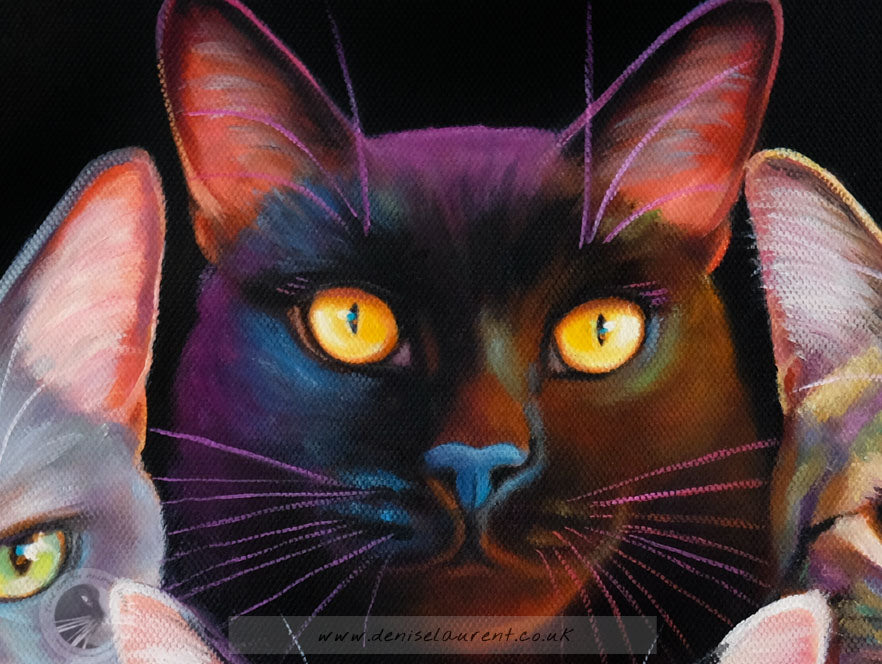 Bohemian Catsody Commission