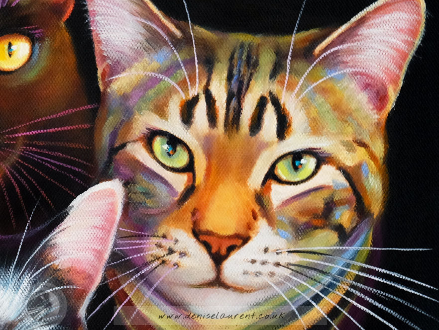 Bohemian Catsody Commission