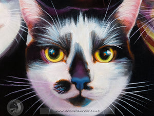 Bohemian Catsody Commission