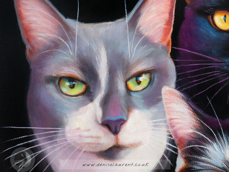 Bohemian Catsody Commission