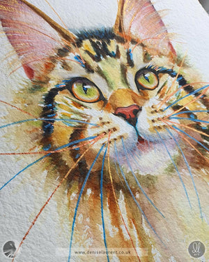Juno - Maine Coon Cat Watercolour Painting