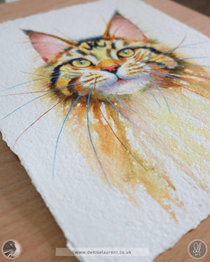 Juno - Maine Coon Cat Watercolour Painting