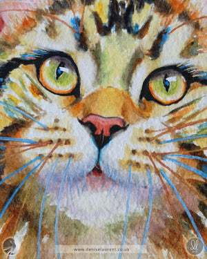 Juno - Maine Coon Cat Watercolour Painting