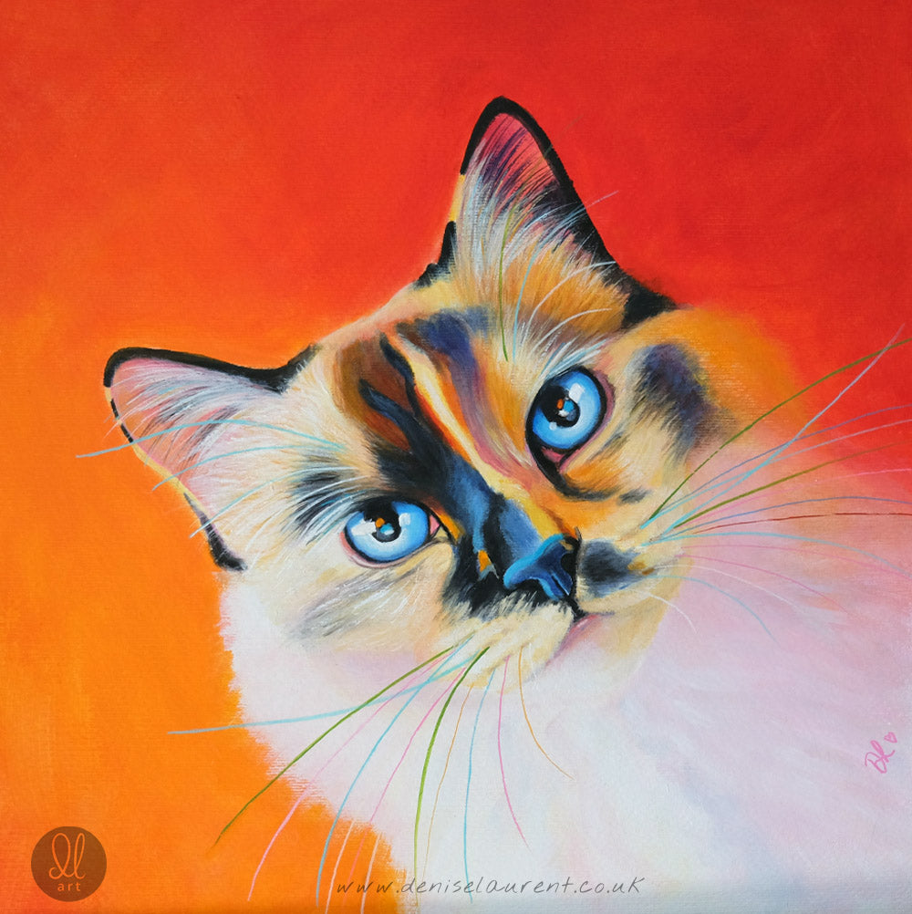 Luci - Sold