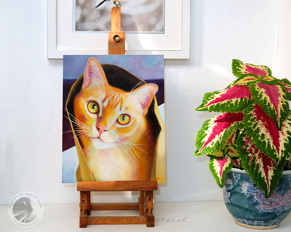 Lucy - Sold