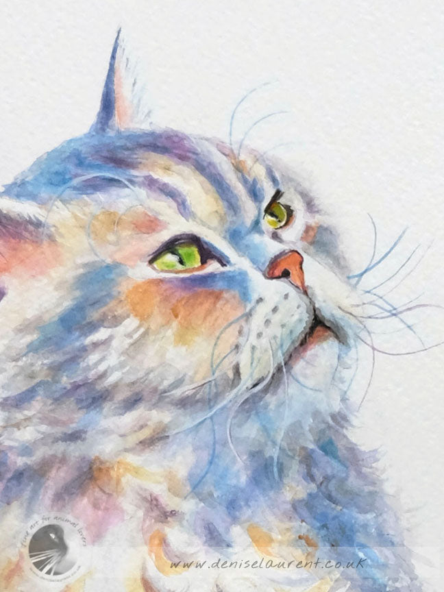 Portrait Of Ollie