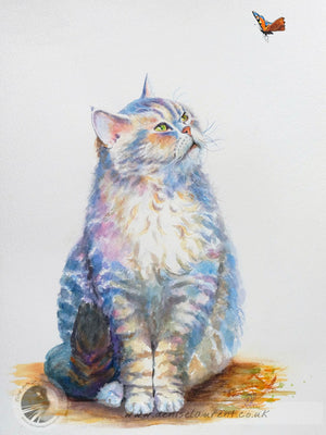 Portrait Of Ollie
