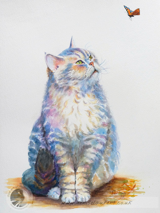 Portrait Of Ollie