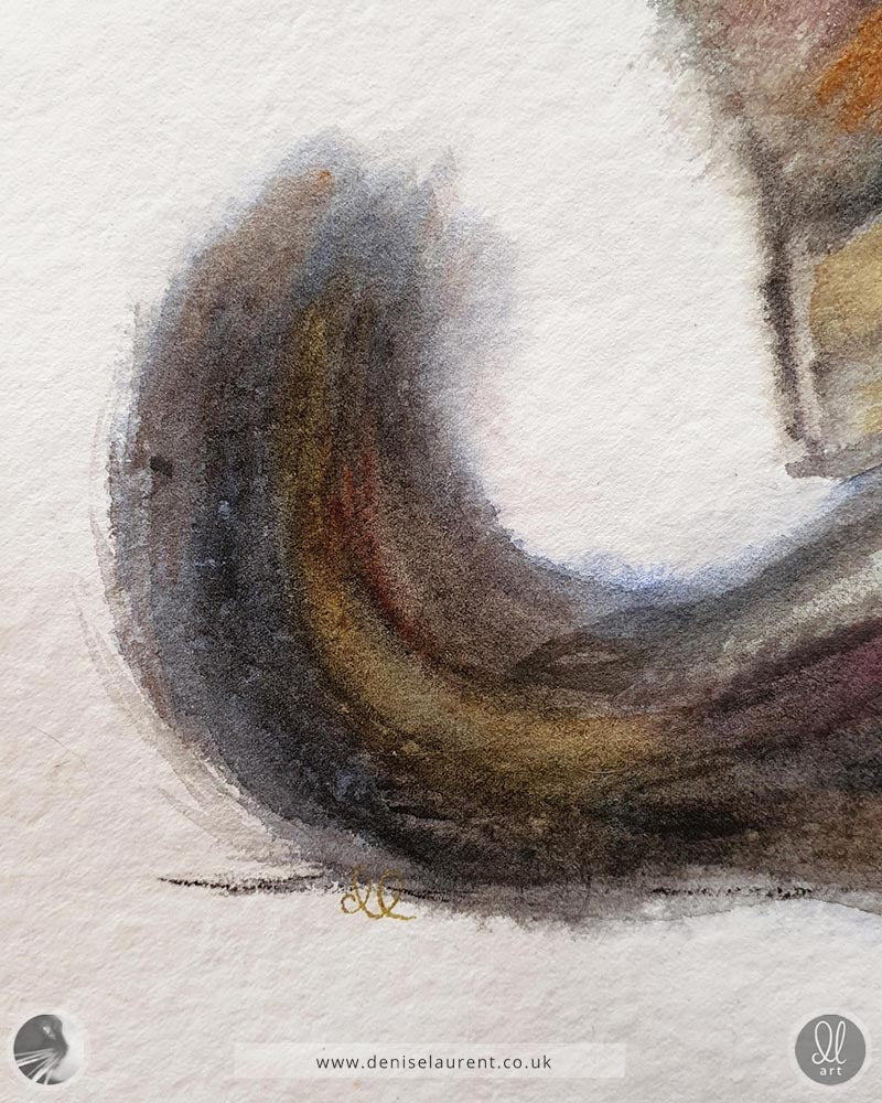close up detail of her tail