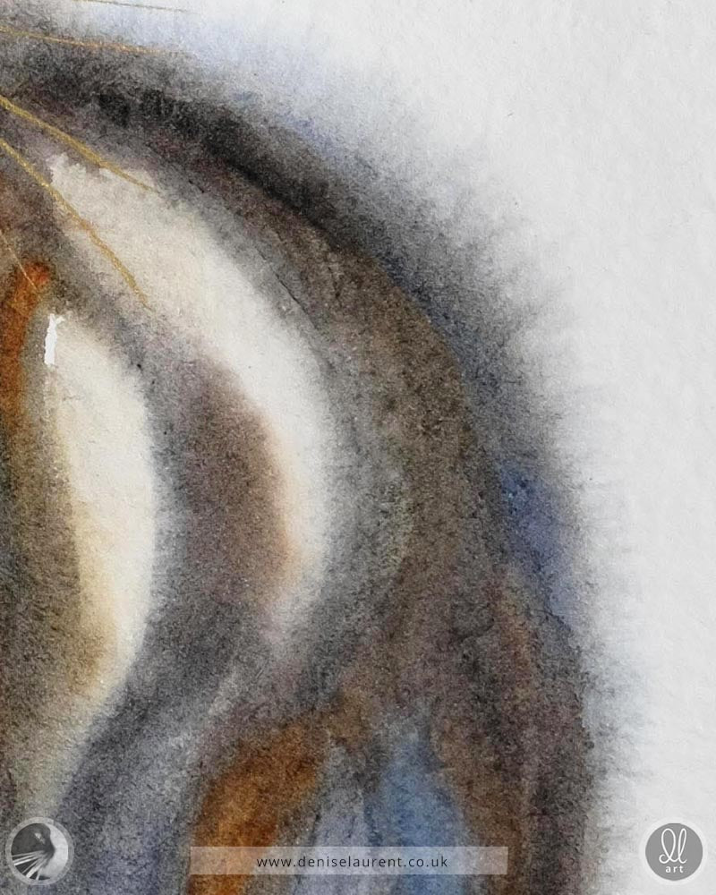 a close up of a tabby cat painting showing the colour as it spreads softly into the handmade paper.