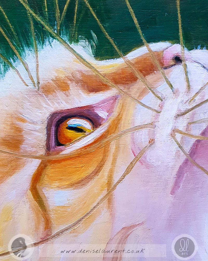 Tyzer - 10x8" Ginger Cat Oil Painting