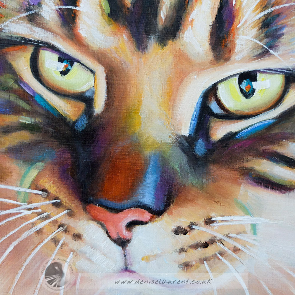Velcro - Sold