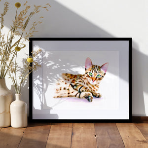 Bengal Kitten - Bengal Cat Art Print