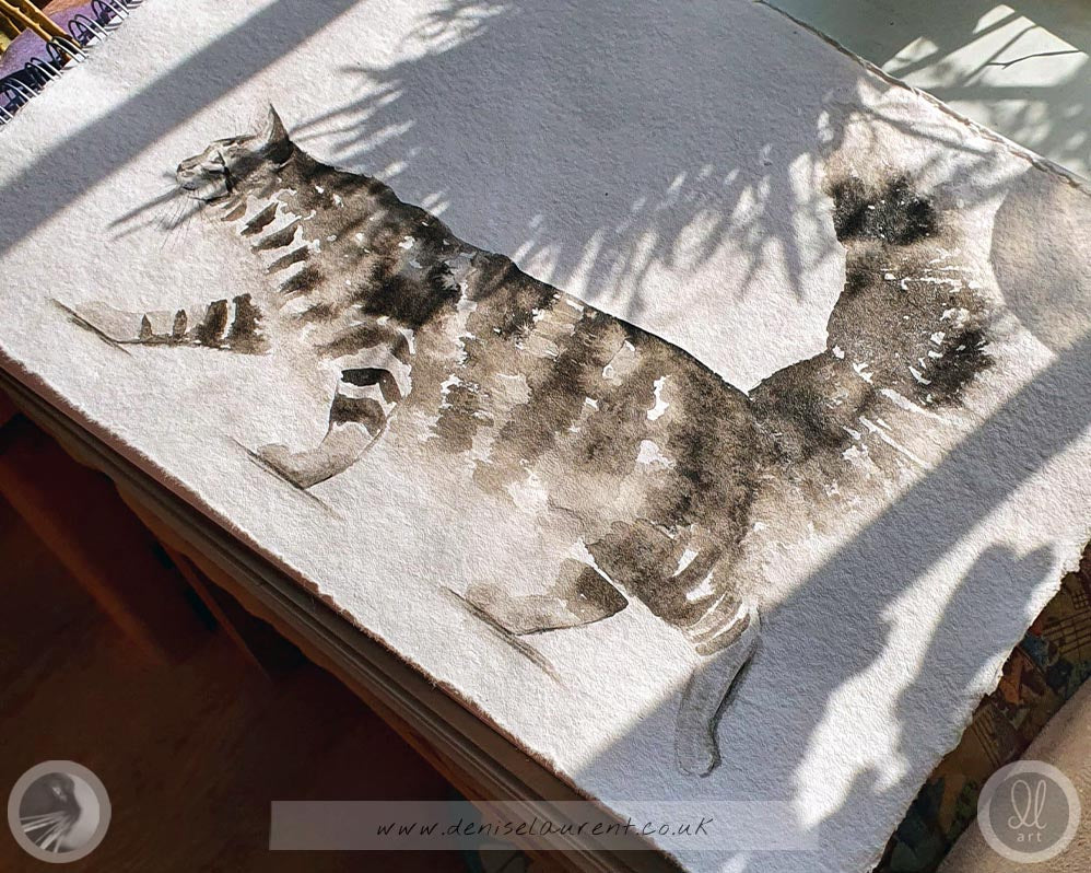 a hand crafted black and white painting of a maine coon cat on handmade paper, sitting on a tabby with sunshine and shadows.