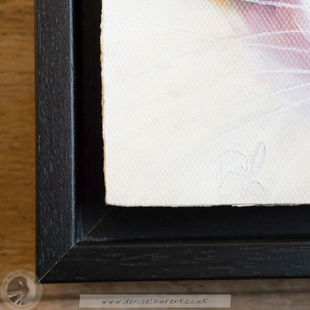 Flower Cat 2 8"x8" Framed Oil Painting