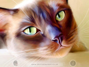 Java - Cat Fine Art Print