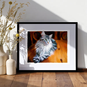 Lunchtime - Maine Coon Cat Art Print