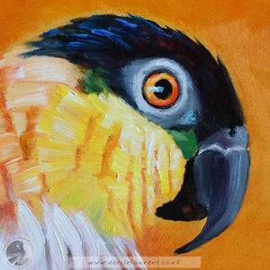 Percy The Parrot 6x6" Painting