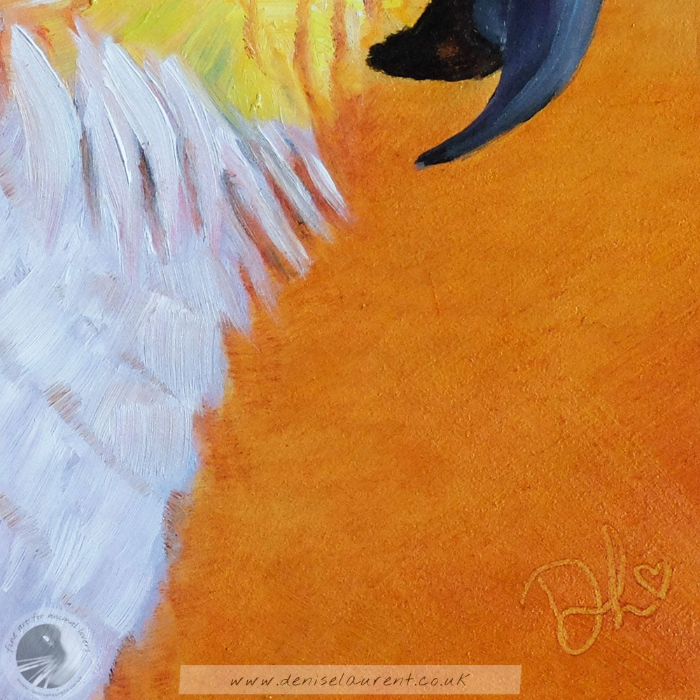 Percy The Parrot 6x6" Painting