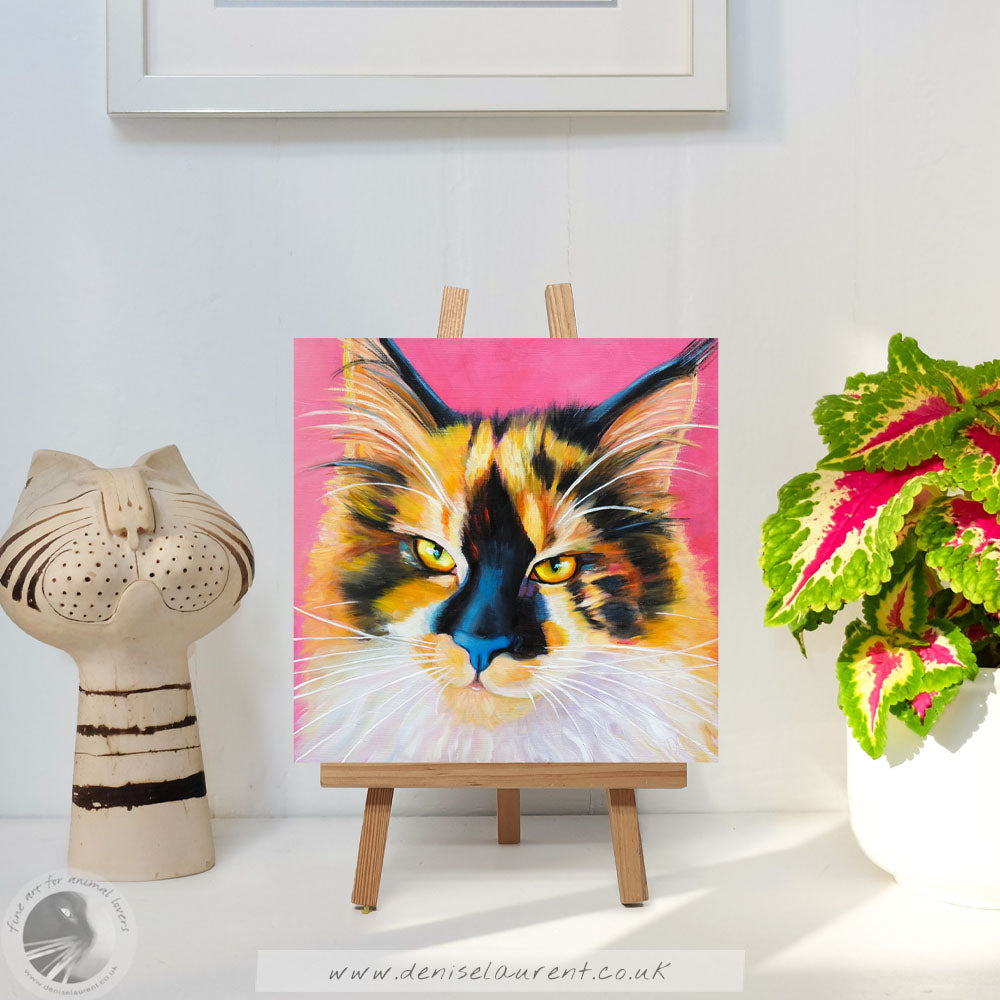 Quinn - Sold