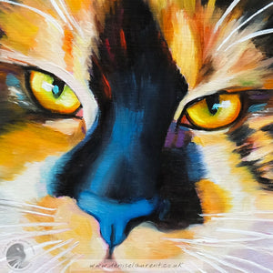 Quinn - Sold