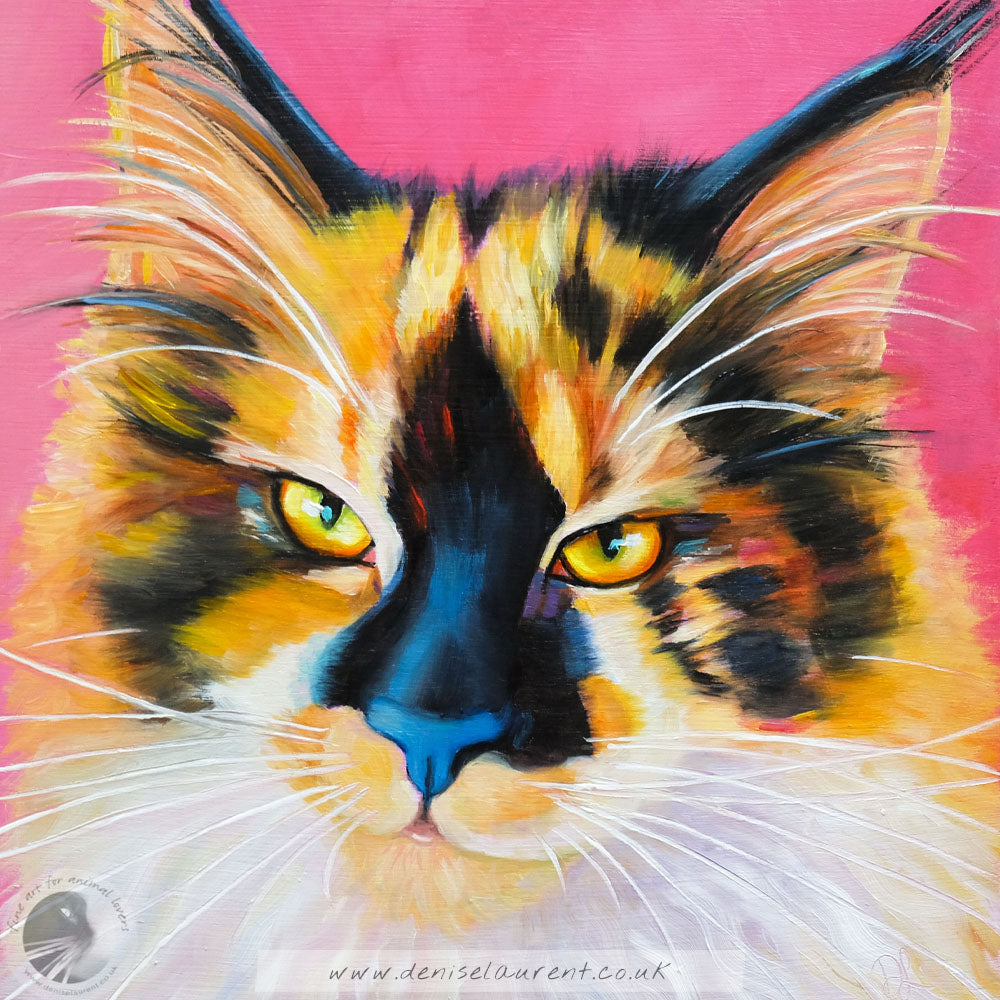 Quinn - Sold