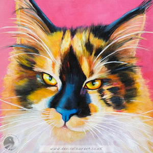 Quinn - Sold