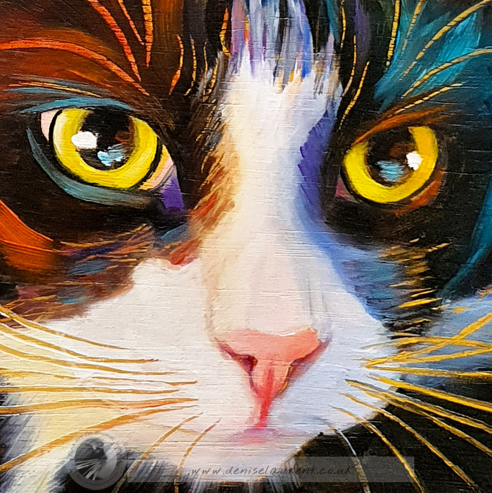 Sam - Sold