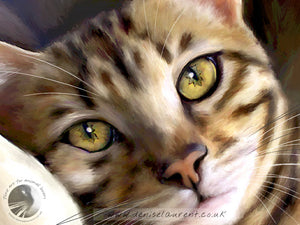 Starry Eyed - Bengal Cat Print