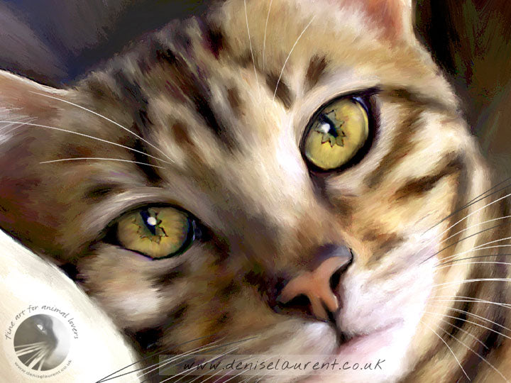 Starry Eyed - Bengal Cat Print