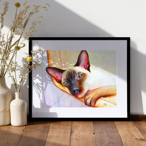 The Hammock - Siamese Cat Art Print