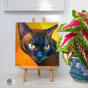 Tia - Sold