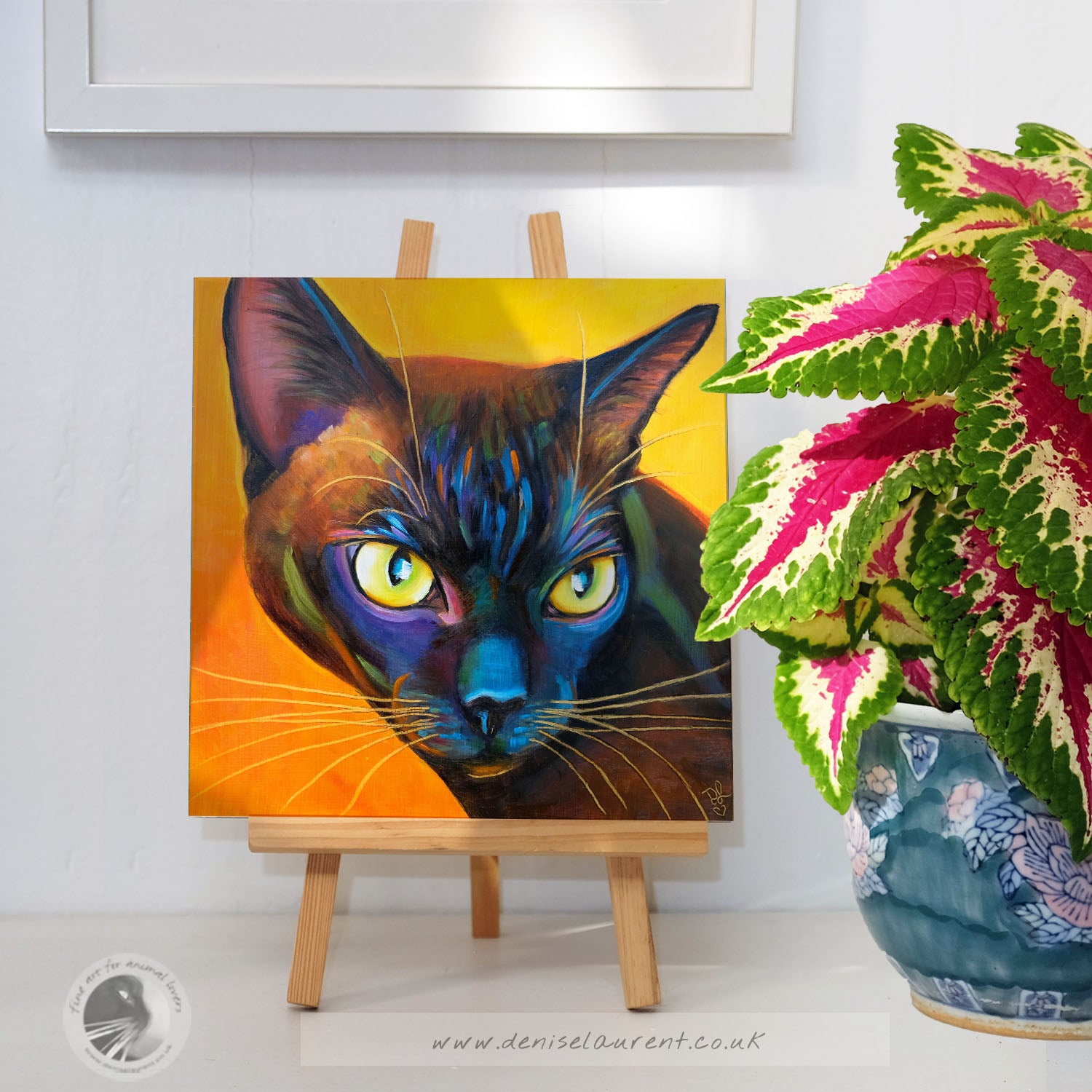 Tia - Sold