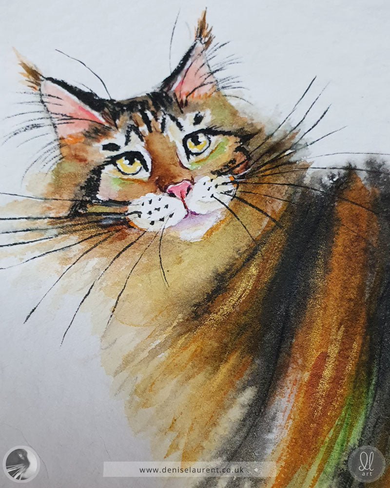 close up of a hand painted watercolour of a tortie cat