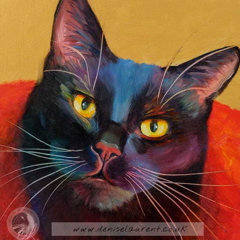 Axl  - Sold