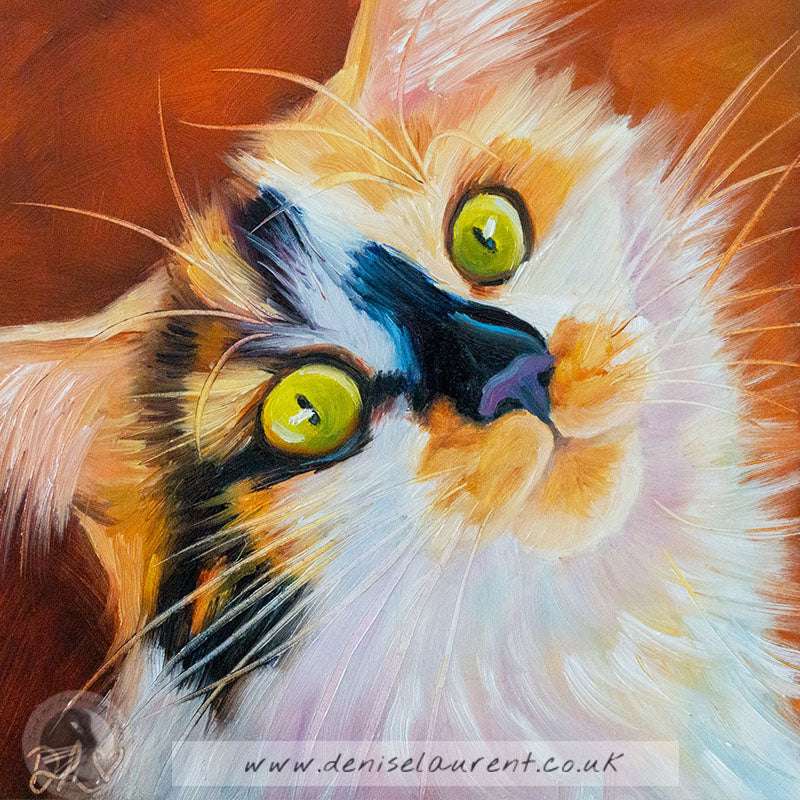 Beak  - Sold