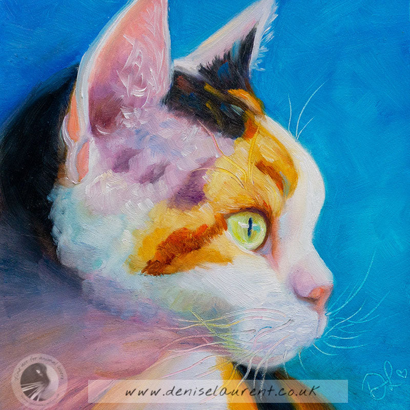 Jameela - Sold