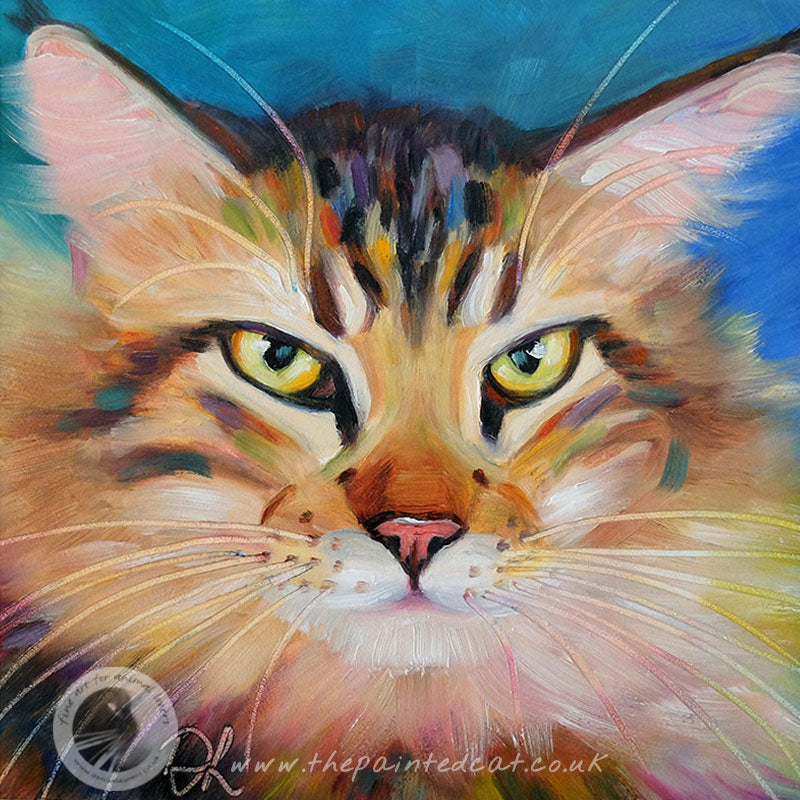 Liam  - Sold