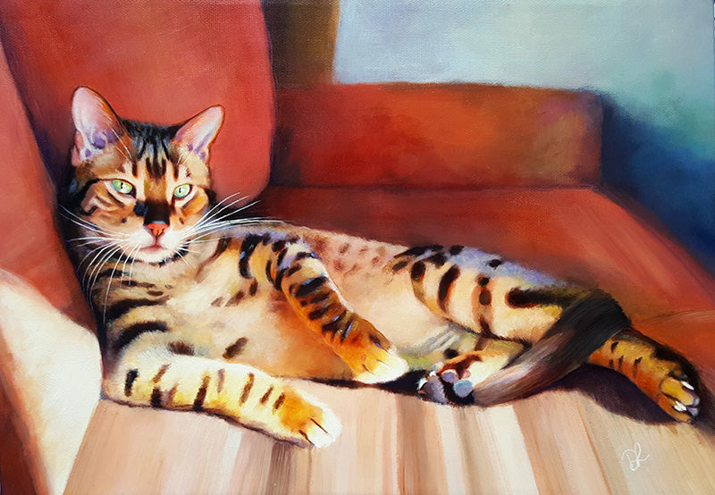 Portrait Of Dougal