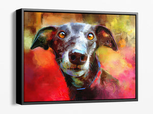 Milly Many Coats - Greyhound  framed canvas print.  A black greyhound dog with captivating brown eyes against a colourful background of reds and golds. It's framed in a black wood frame that leaves a small gap between the frame and the canvas.
