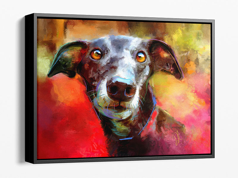 Milly Many Coats - Greyhound  framed canvas print.  A black greyhound dog with captivating brown eyes against a colourful background of reds and golds. It's framed in a black wood frame that leaves a small gap between the frame and the canvas.