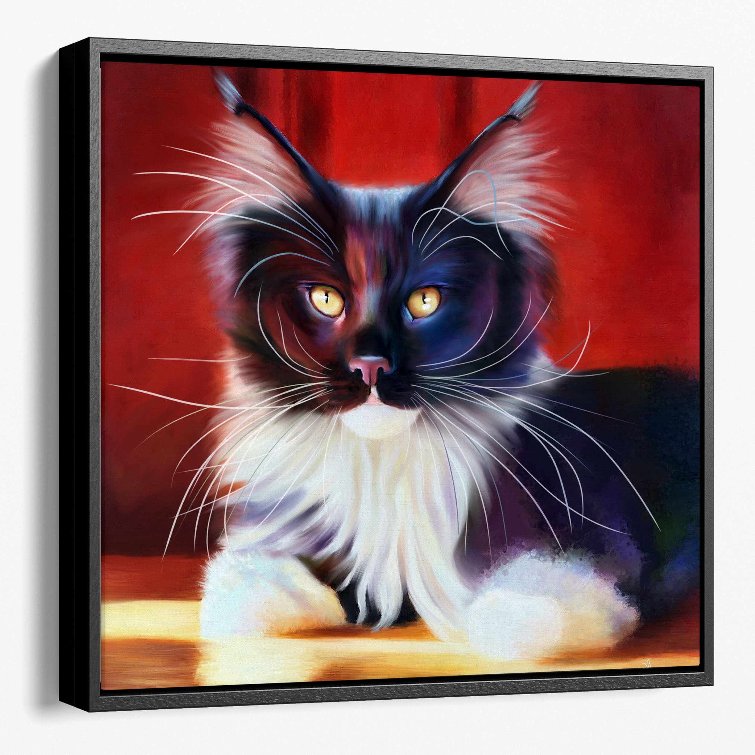 A framed canvas of a stunning Maine Coon tuxedo cat, she is sitting on a sunlit floor with a red background that sets off her black and white fir and yellow eyes.